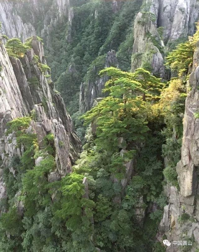 旋转的圆球